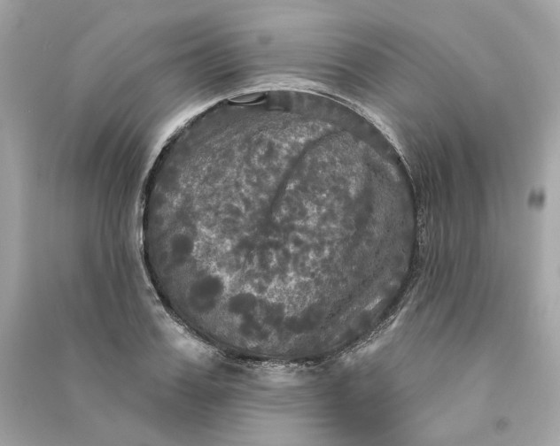 X0000090770987200708101806