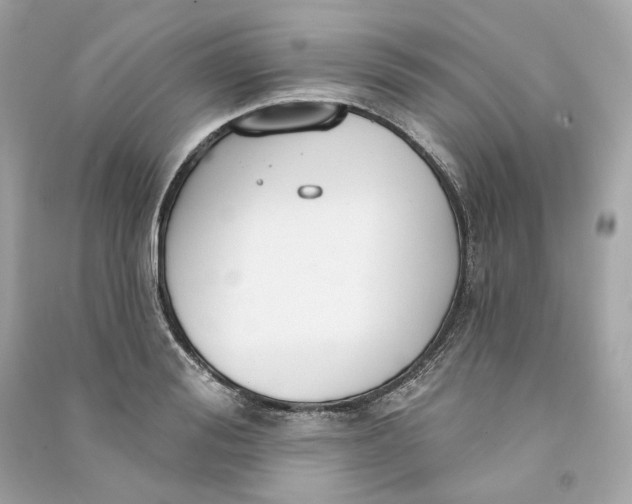 X0000090770988200708101806