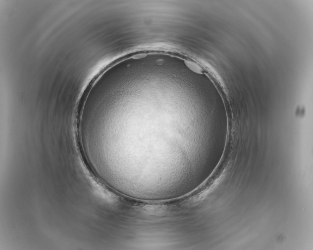 X0000090770989200708101806