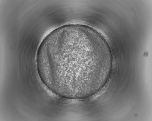 X0000090770990200708101806