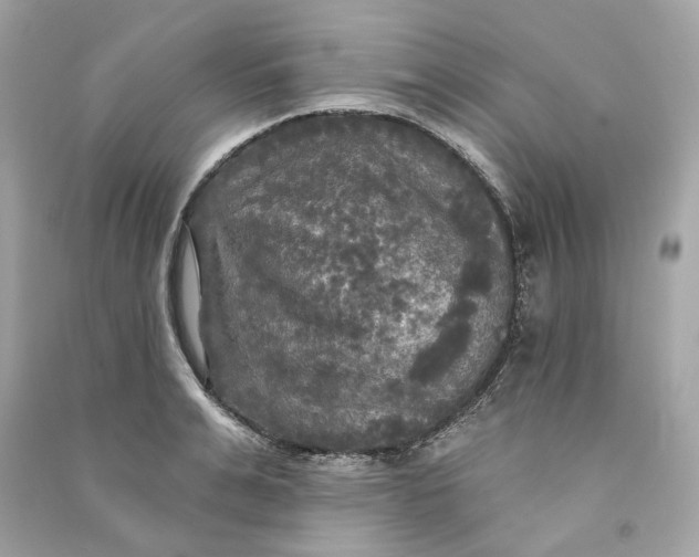X0000090770991200708101806