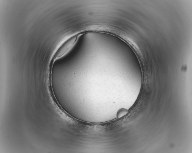 X0000090770992200708101806