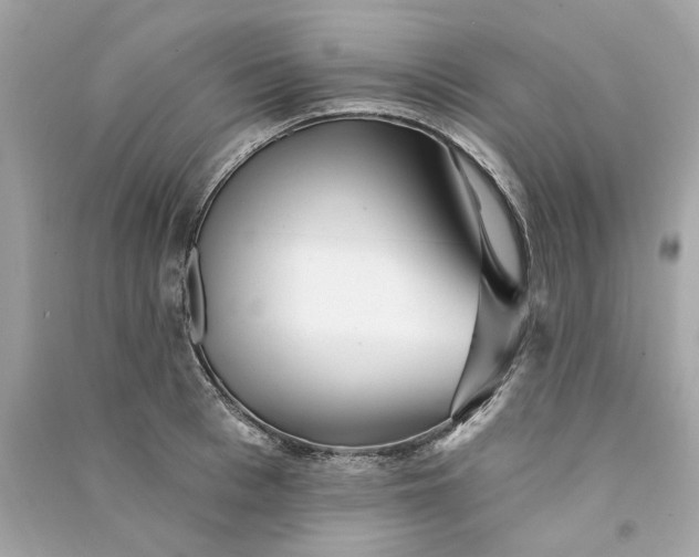 X0000090770993200708101806