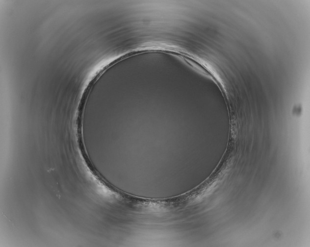 X0000090770995200708101806