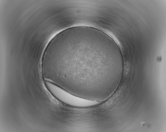 X0000090770996200708101806