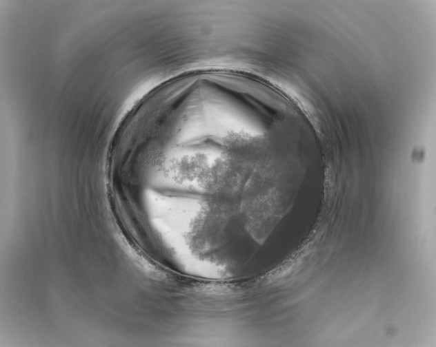 X0000090770998200708101806