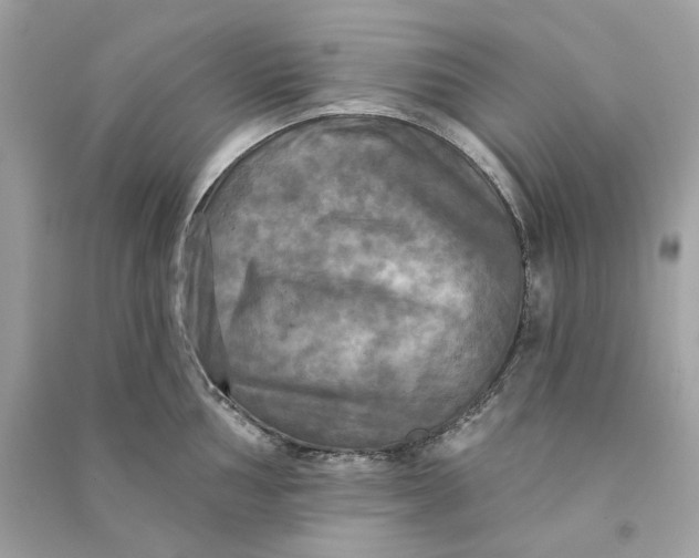 X0000090771002200708101806