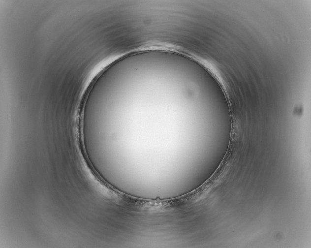 X0000090771003200708101806