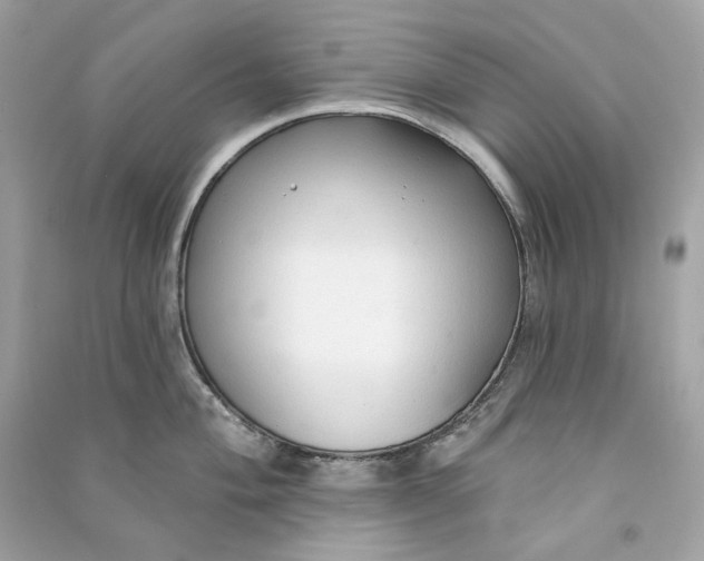 X0000090771004200708101806