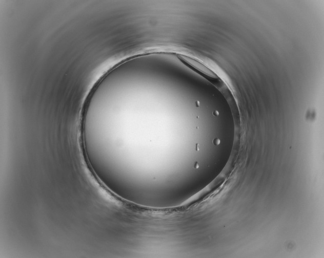 X0000090771005200708101806