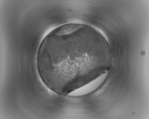 X0000090771007200708101806