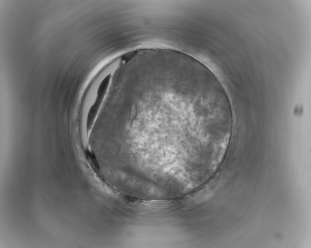 X0000090771008200708101806