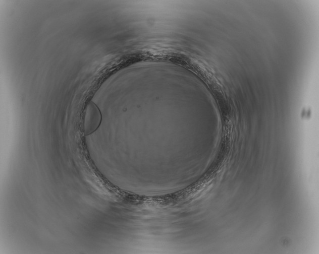 X0000090771009200708101805