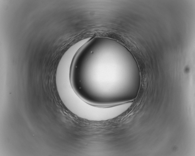 X0000090771010200708101805