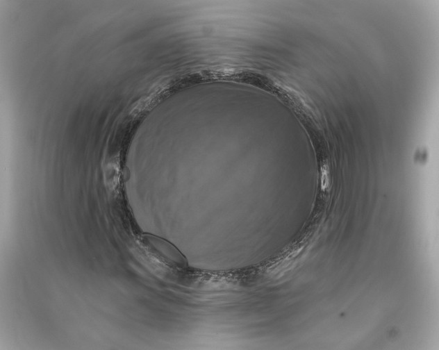 X0000090771011200708101805