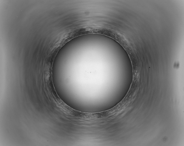 X0000090771012200708101805