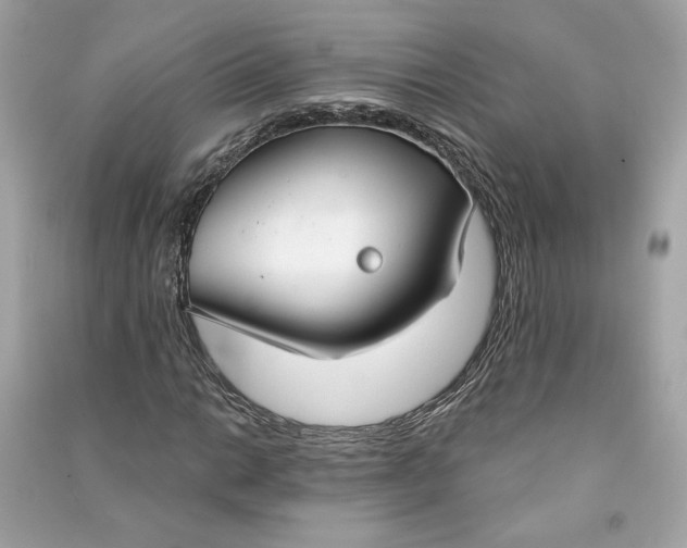 X0000090771014200708101805