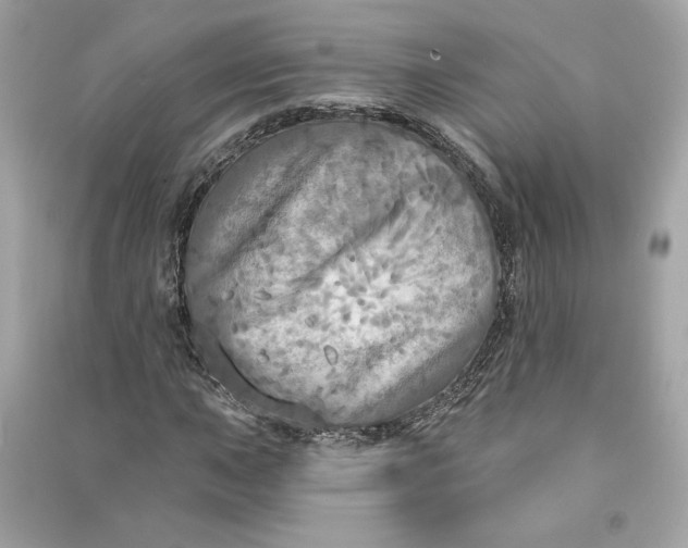 X0000090771015200708101805
