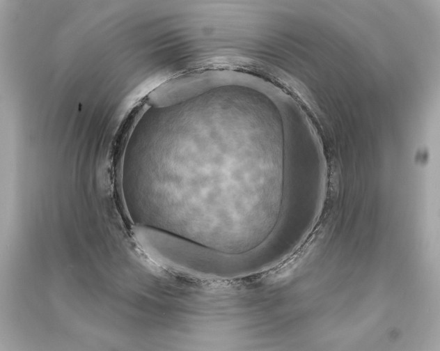X0000090771018200708101805