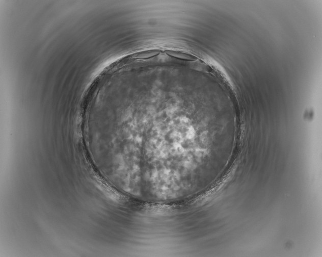 X0000090771019200708101805