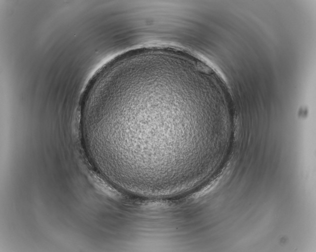 X0000090771021200708101805