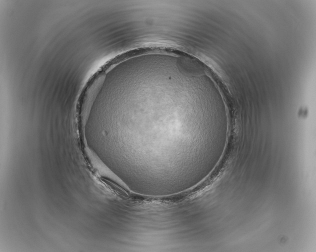 X0000090771022200708101805