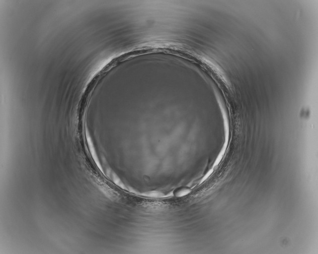 X0000090771023200708101805