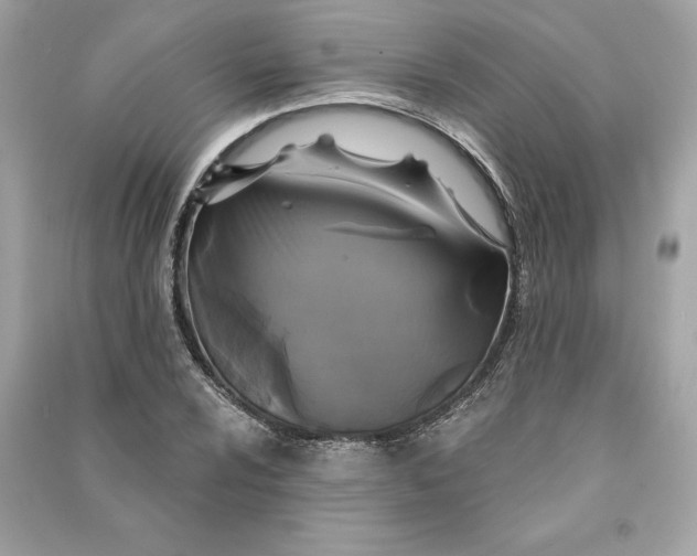 X0000090771024200708101805