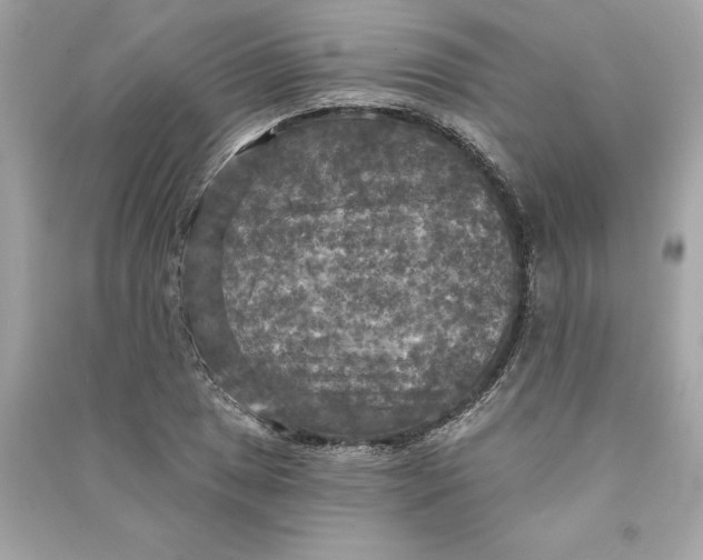 X0000090771025200708101805