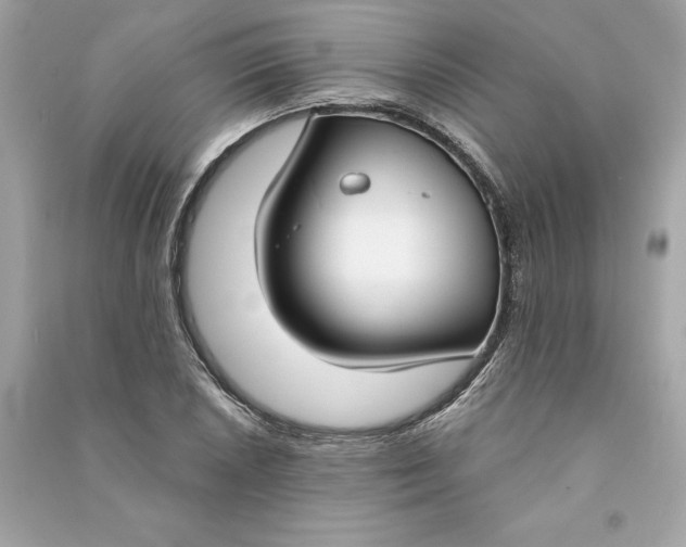 X0000090771026200708101805
