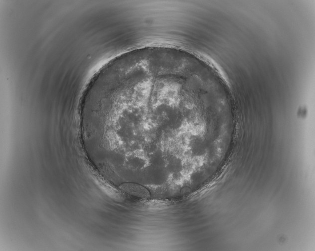 X0000090771027200708101805