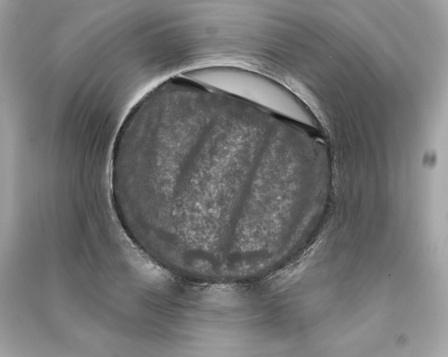 X0000090771028200708101805