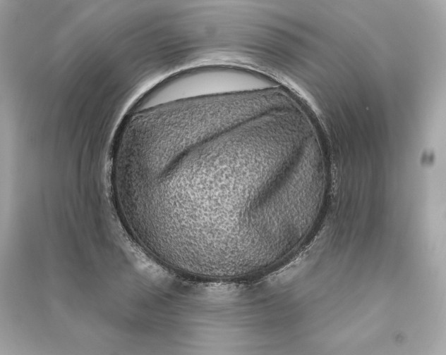 X0000090771029200708101805