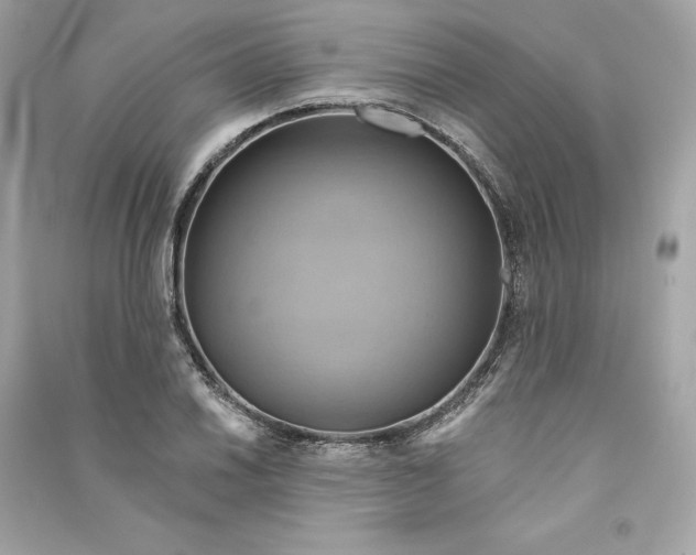 X0000090771030200708101805