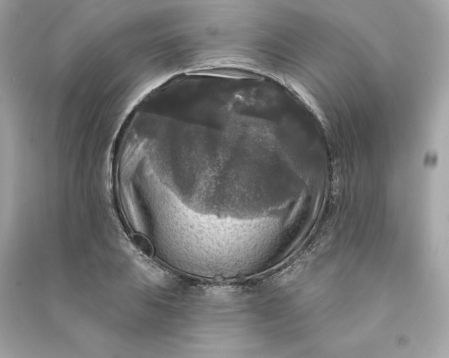 X0000090771031200708101805