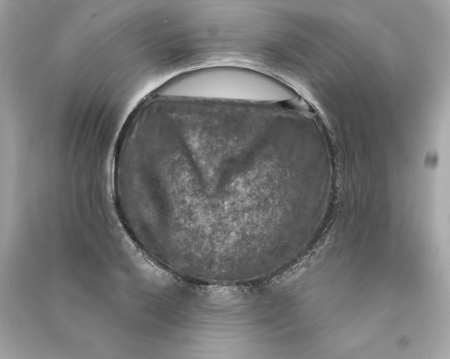 X0000090771032200708101805