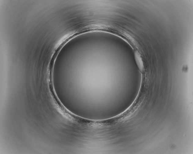X0000090771034200708101805