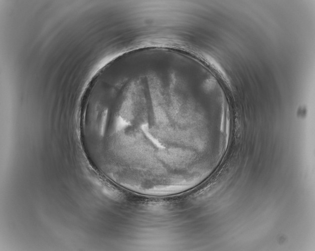 X0000090771035200708101805