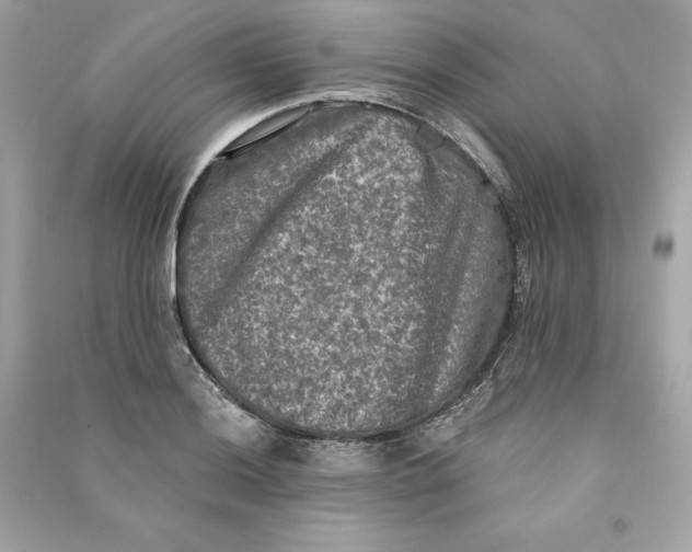 X0000090771036200708101805