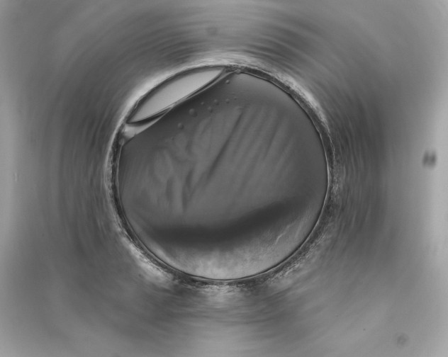 X0000090771037200708101805