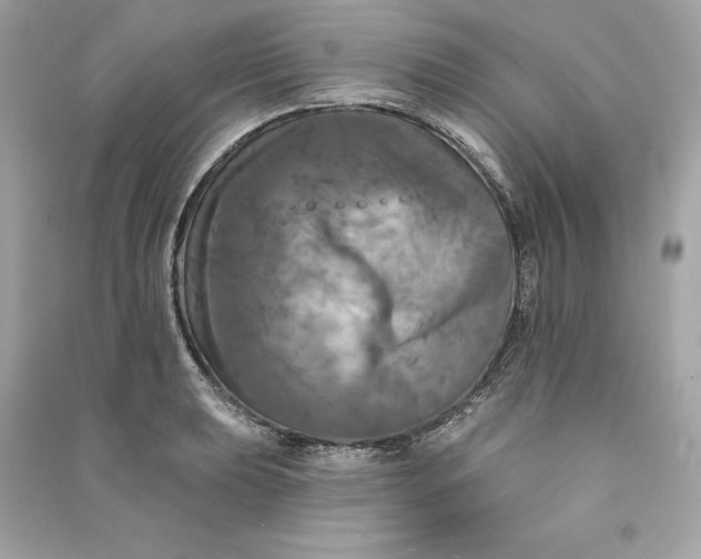 X0000090771039200708101806
