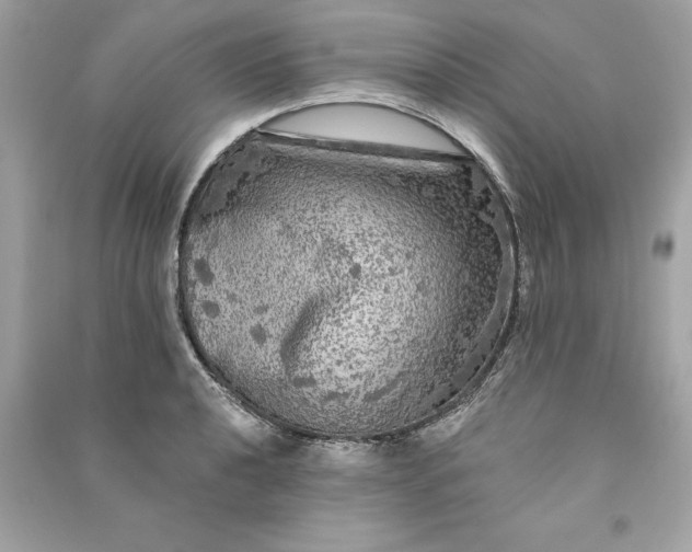 X0000090771040200708101806