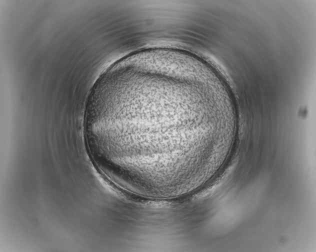 X0000090771041200708101806