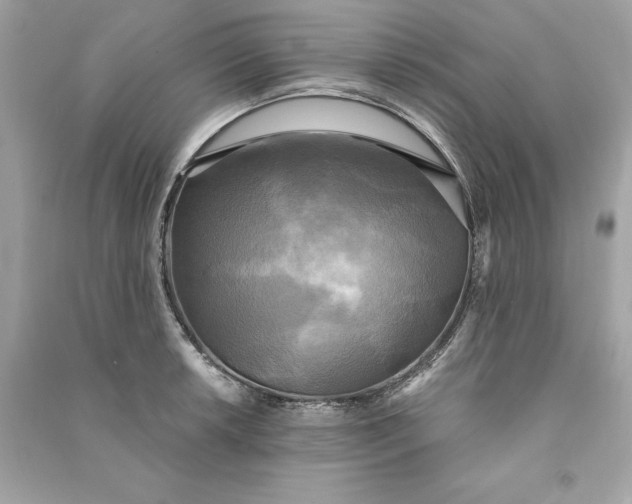 X0000090771042200708101806