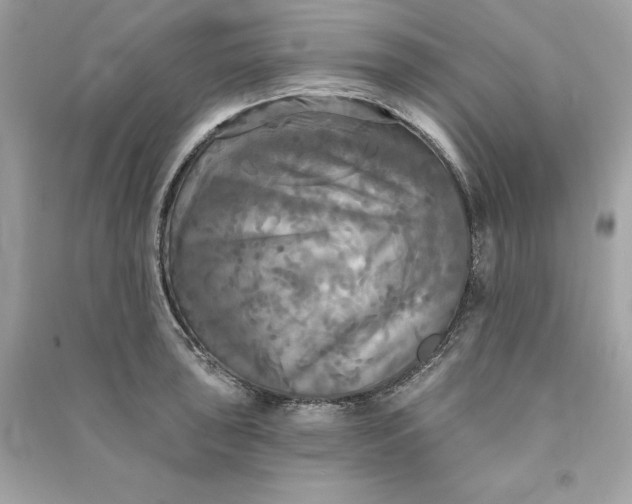 X0000090771043200708101806