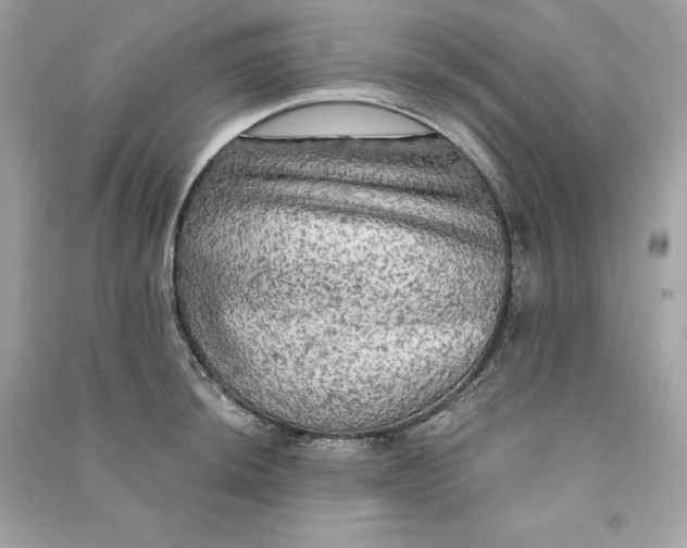 X0000090771044200708101806