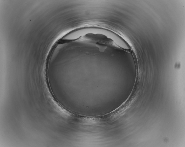 X0000090771045200708101806