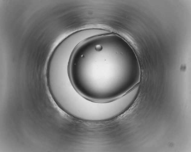 X0000090771046200708101806