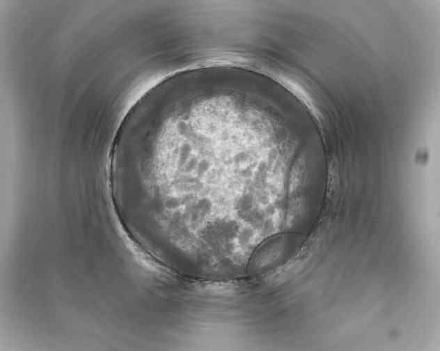 X0000090771047200708101806