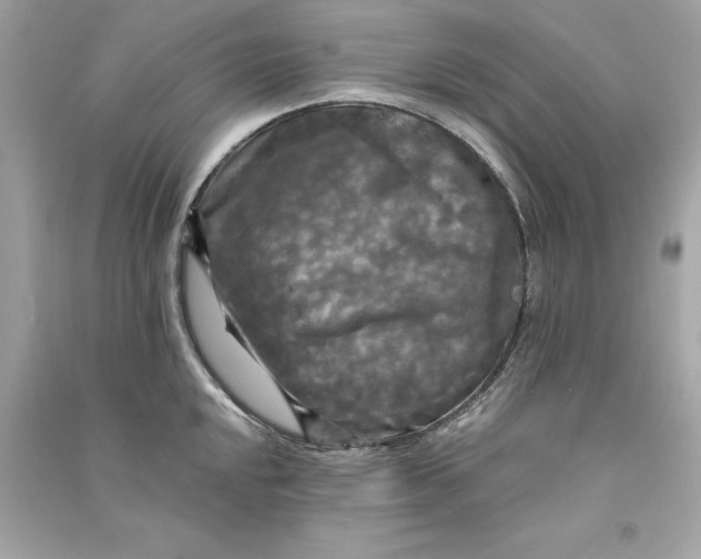 X0000090771048200708101806
